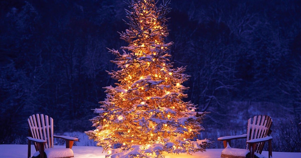 mooie-brandende-kerstboom-buiten-in-de-sneeuw-hd-kerst-wallpaper.jpg
